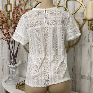 Loft women w lace white blouse